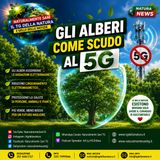 Gli alberi come scudo al 5G