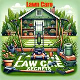Lawn Care - The Basics