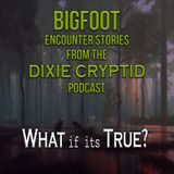 Sasquatch Stories from Dixie Cryptid_CU_02