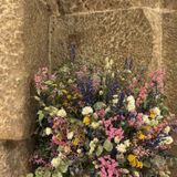 Temporada II - Episódio 7 - Furor Botânico