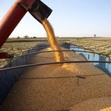 Brasil quiere convertirse en la potencia alimentaria mundial