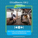 947: El Gallinero AM: New York lleno de ratas - #primeraennoticias