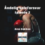 Arne Bakken: Åndelig selvforsvar 2