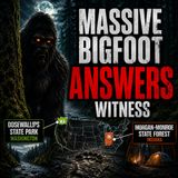 MASSIVE BIGFOOT ANSWERS WITNESS AT DOSEWALLIPS STATE PARK | WASHINGTON
