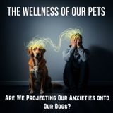 The Wellness of Our PETS: Are We Projecting Our ANXIETIES onto Our DOGS?