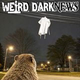 Naked Man Smashes Through Punxsutawney Hospital Wall | #WeirdDarkNEWS