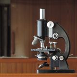 Science Pioneers with Danni Washington