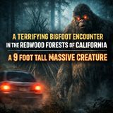 A TERRIFYING BIGFOOT ENCOUNTER IN THE REDWOOD FORESTS OF CALIFORNIA | SANTA CRUZ MOUNTAINS