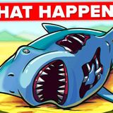 The Why and How of the Megalodon Extinction (What Killed the Giant Shark)