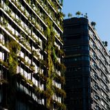 Infraestructura verde en ciudades: Enfoque innovador para una convivencia armoniosa entre la naturaleza y el urbanismo