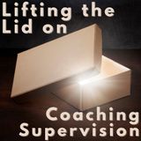 Lifting The Lid - Episode 102 - Playing it safe as a coach - The one where we put a splodge of orange into our paint by numbers picture