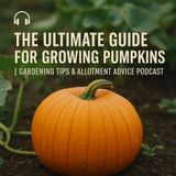 🎧 The Ultimate Guide for Growing Pumpkins | Gardening Tips & Allotment Advice Podcast