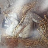 Prácticas funerarias Neandertales