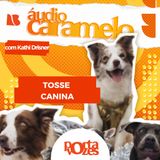 Sobre a Tosse Canina | Áudio Caramelo
