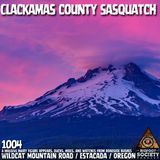 Driver Encounters Hairy Figure on Wildcat Mountain Road in Estacada, Oregon and Freezes | Archives