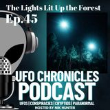 Ep.45 The Lights Lit Up the Forest