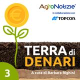 Misura, decidi, agisci