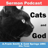 Cats and God