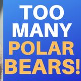 THERE'S TOO MANY POLAR BEARS : The Struggle Continues