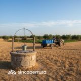 El papel de los pozos en cultivos de secano