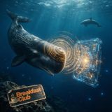 S1 E20 Flipper, la lingua dei delfini e l' IA