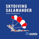 Skydiving Salamander (Puntata Centodiciotto)