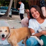 O projeto Animais Universitários atua na proteção a animais abandonados no Campus do Pici