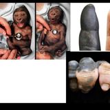 Uygarlık Tarihi Ders 13: İlk Canlıların Ortaya Çıkışı ve Evrim
