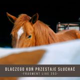 Dlaczego koń przestaje słuchac - fragment live 253