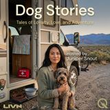 Dog Stories - Discover heartwarming tales with Juniper Snout