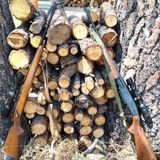 Best Big Game Hunting Rifles of the 20th Century - Top Two