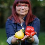 Sałatka Jarzynowa - Nie dawaj odpowiedzi, zadawaj pytania!
