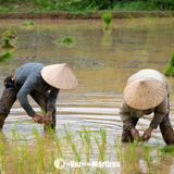 MYANMAR - Ron Morse - Misiones - Ministerio es ahora
