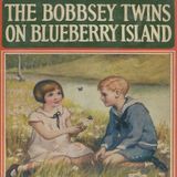 The Bobbsey Twins on Blueberry Island by Laura Lee Hope | Full Audiobook | Audiobook Time