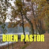 Buen pastor / Reflexiones cristianas