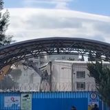 21 gennaio 2026 - Notiziario Mondo