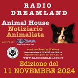 Notiziario animalista dell'11 novembre 2024