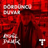 #3 Aygül Demir, Tiyatronun seyirci ile ilişkisi, Tiyatroda ne yapılmaz, Kitap Okumak ve Tiyatro
