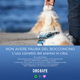 #019 - Non avere paura del bocconcino