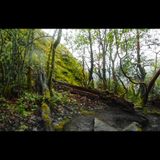Whittaker Power Hike.