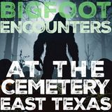 BIGFOOT ENCOUNTER FROM EAST TEXAS | IT BLUFF CHARGED ME AT THE CEMETERY #bigfoot #nature