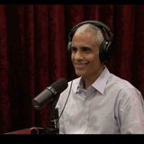 Joe Rogan Experience Siddharth Kara