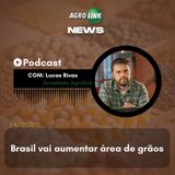 Podcast: Santa Catarina abre licitação a produtores de milho da região Sul