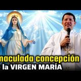 Padre Luis Toro en inmaculada Concepción de Everett