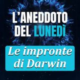 Le impronte di Darwin - Aneddoto del Lunedì #12