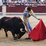 Al Alimón: Emilio de Justo y Víctor Hernández, sangre y triunfo en Madrid