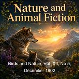 Birds and Nature Vol XII No 5 December 1902 - Various