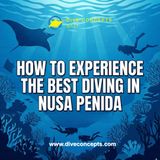 How to Experience the Best Diving in Nusa Penida