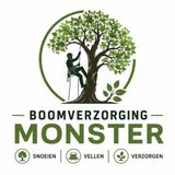 De mythen en feiten over boomverzorging
