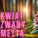 Kwiat zwany mettą - Ajahn Chatchai [LEKTOR PL]